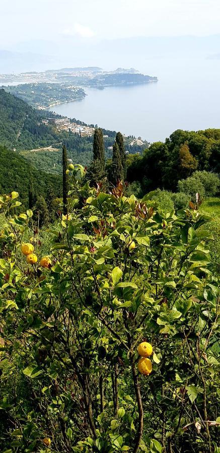 Sunblest Villa Dafnáta Dış mekan fotoğraf