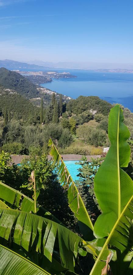 Sunblest Villa Dafnáta Dış mekan fotoğraf